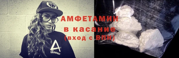 прущие грибы Инсар