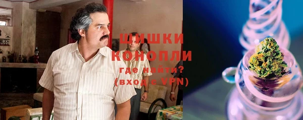 прущие грибы Инсар