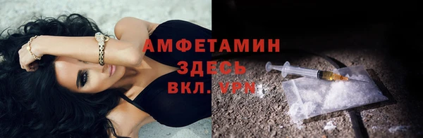 прущие грибы Инсар