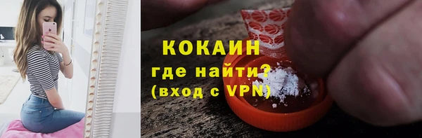 прущие грибы Инсар