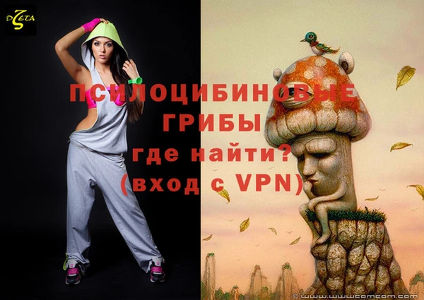 spice Сатка